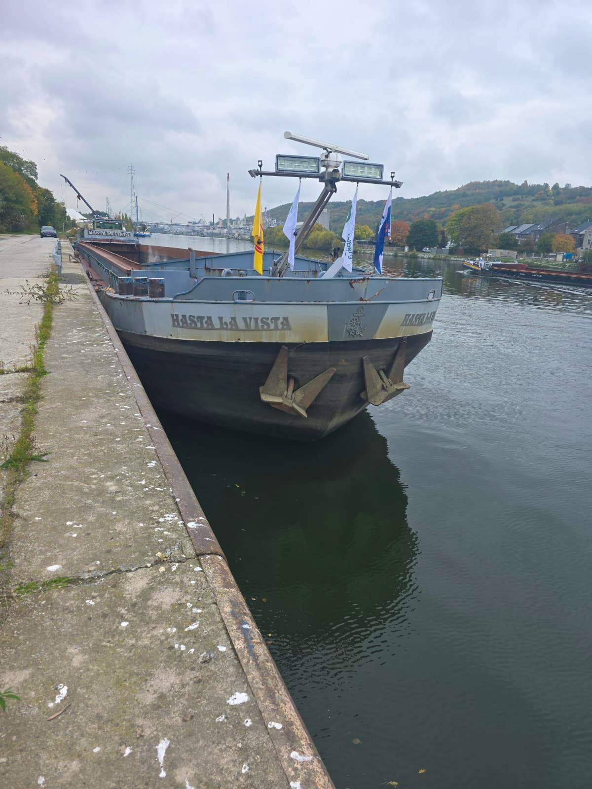 Hasta la Vista — thumbnail 4